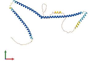 Protein Structure (PS) image for Coiled-Coil Domain Containing 83 (CCDC83) (AA 1-305) protein (His tag) (ABIN7560997)
