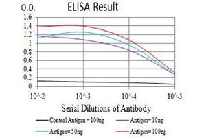 Black line: Control Antigen (100 ng),Purple line: Antigen (10 ng), Blue line: Antigen (50 ng), Red line:Antigen (100 ng) (BAX Antikörper  (AA 13-160))