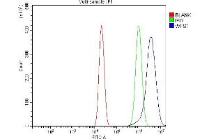 Flow Cytometry analysis of U20S cells using anti-WFS1 antibody (ABIN7602165). (WFS1 Antikörper  (AA 61-313))