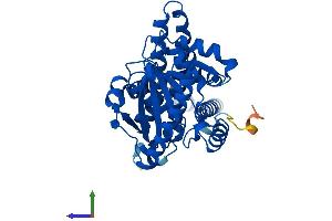 Protein Structure (PS) image for 1-Acylglycerol-3-Phosphate O-Acyltransferase 3 (AGPAT3) (AA 1-376) protein (His tag) (ABIN7561003)