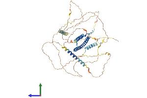 Protein Structure (PS) image for Transcription Factor E3 (TFE3) (AA 1-572) protein (His tag) (ABIN7563974)