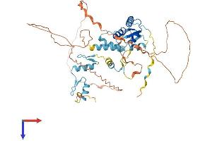 ZBTB9 Protein (AA 1-473) (His tag)