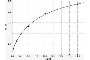 Tryptophan Hydroxylase 2 (TPH2) ELISA Kit