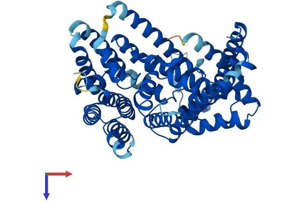 HHAT Protein (AA 1-493) (His tag)