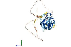 Protein Structure (PS) image for NOP2/Sun Domain Family, Member 7 (NSUN7) (AA 1-718) protein (His tag) (ABIN7550028)