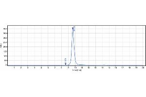 The purity of Anti-IL-7Ra / CD127 Reference Antibody (PF-06342674) is 99. (Rekombinanter IL7R Antikörper)