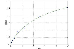 A typical standard curve