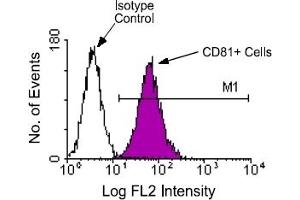 Flow Cytometry (FACS) image for anti-CD81 (CD81) antibody (PE) (ABIN371126) (CD81 Antikörper  (PE))