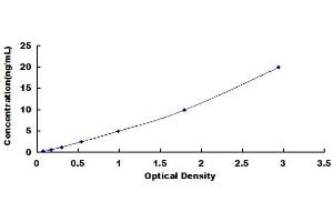 Typical Standard Curve (ADCY5 ELISA Kit)