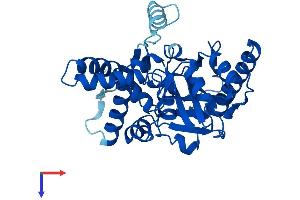 MOGAT2 Protein (AA 1-334) (His tag)