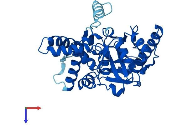 MOGAT2 Protein (AA 1-334) (His tag)