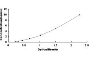 Typical standard curve (HNF1B ELISA Kit)