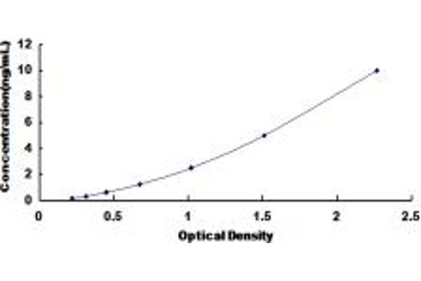 HNF1B ELISA Kit