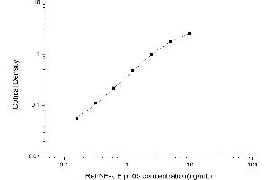 NFKB1 ELISA Kit