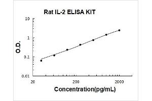 Rat IL-2 PicoKine ELISA Kit standard curve
