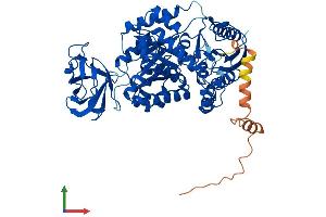 Protein Structure (PS) image for Pyruvate Kinase, Liver and RBC (PKLR) (AA 1-574) protein (His tag) (ABIN7548752)