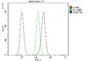 Flow Cytometry analysis of 293T cells using anti- GAD65/GAD2 antibody (ABIN7603170). (GAD65 Antikörper  (N-Term))