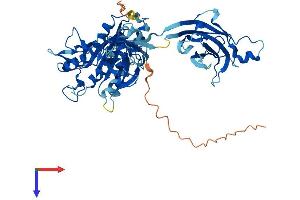 CPNE8 Protein (AA 1-577) (His tag)