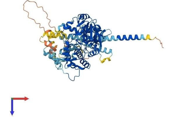 PPEF1 Protein (AA 1-650) (His tag)