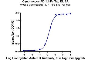 Immobilized Cynomolgus PD-1, hFc Tag at 0. (PD-1 Protein (AA 21-167) (Fc Tag))