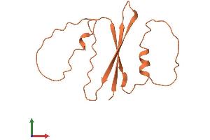 AlphaFold protein structure predicition of Human Recombinant FAM223B Protein, UniprotID A6NKX1