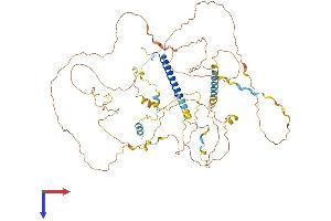CRTC1 Protein (AA 1-630) (His tag)