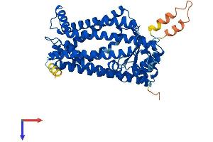 ZMPSTE24 Protein (AA 1-475) (His tag)