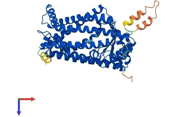 ZMPSTE24 Protein (AA 1-475) (His tag)