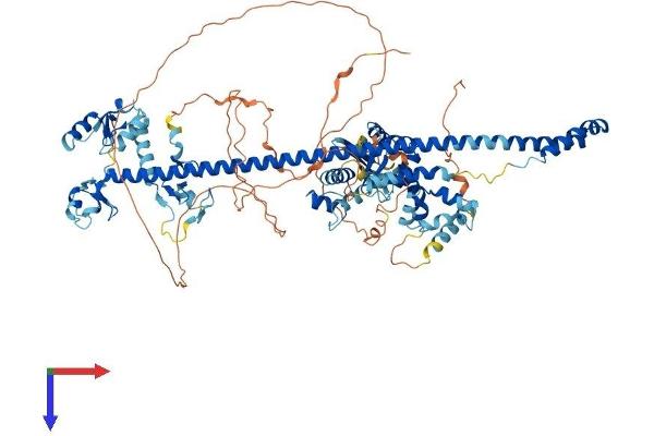PML Protein (AA 1-882) (His tag)