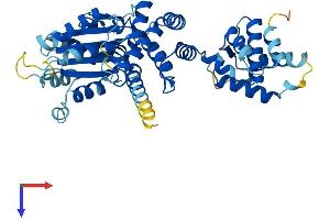 ORC4 Protein (AA 1-433) (His tag)