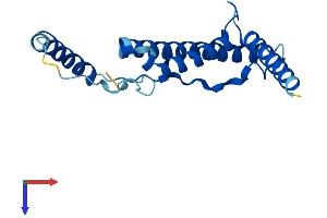 NDUFB10 Protein (AA 1-172) (His tag)