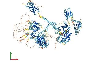 Protein Structure (PS) image for Eukaryotic Translation Initiation Factor 2 alpha Kinase 4 (EIF2AK4) (AA 1-1648) protein (His tag) (ABIN7565162)