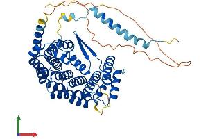 Protein Structure (PS) image for Interferon Related Developmental Regulator 1 (IFRD1) (AA 1-451) protein (His tag) (ABIN7548509)
