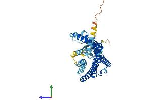 AlphaFold protein structure predicition of Human Recombinant OR5D16 Protein, UniprotID Q8NGK9 (OR5D16 Protein (AA 1-328) (His tag))