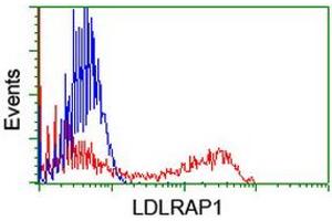 Flow Cytometry (FACS) image for anti-Low Density Lipoprotein Receptor Adaptor Protein 1 (LDLRAP1) antibody (ABIN1496691) (LDLRAP1 Antikörper)
