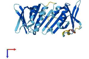HUS1B Protein (AA 1-276) (His tag)