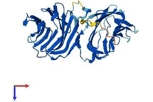 LGALS12 Protein (AA 1-314) (His tag)