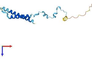 MMGT2 Protein (AA 1-123) (His tag)