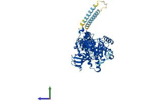 AlphaFold protein structure predicition of Human Recombinant FUT8 Protein, UniprotID Q9BYC5
