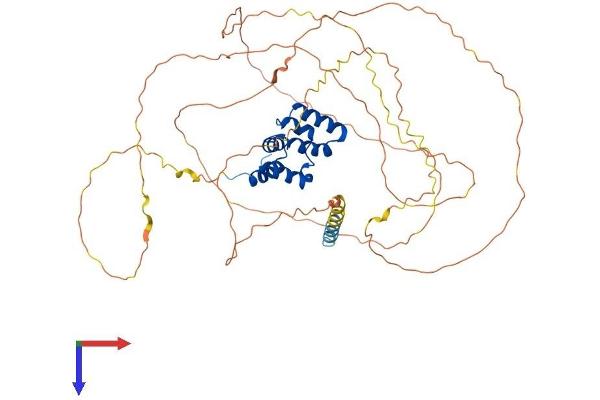 MAVS Protein (AA 1-540) (His tag)