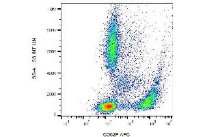 Surface staining of human peripheral blood with anti-CD62P (AK4) APC.