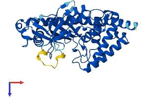 MAB21L2 Protein (AA 1-359) (His tag)