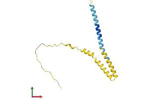 Protein Structure (PS) image for Interferon Induced Transmembrane Protein 5 (IFITM5) (AA 1-132) protein (His tag) (ABIN7548429)