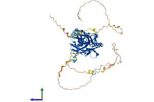 Protein Structure (PS) image for Nuclear Factor-kB p65 (NFkBP65) (AA 1-549) protein (His tag) (ABIN7563593)