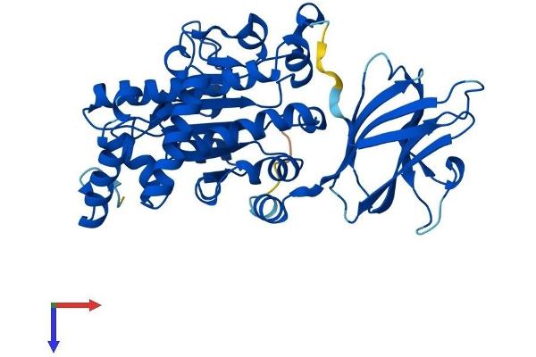 SEC14L4 Protein (AA 1-403) (His tag)