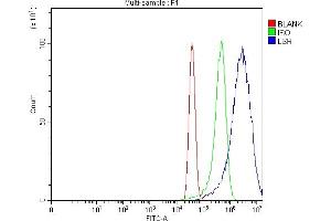 Flow Cytometry analysis of MCF-7 cells using anti-LSR antibody (ABIN7599514). (LSR Antikörper  (AA 1-649))