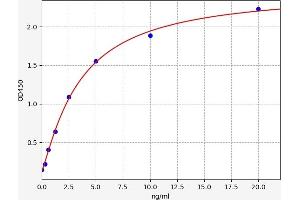 Dopamine d2 Receptor ELISA Kit