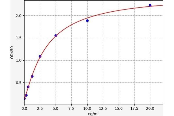 Dopamine d2 Receptor ELISA Kit