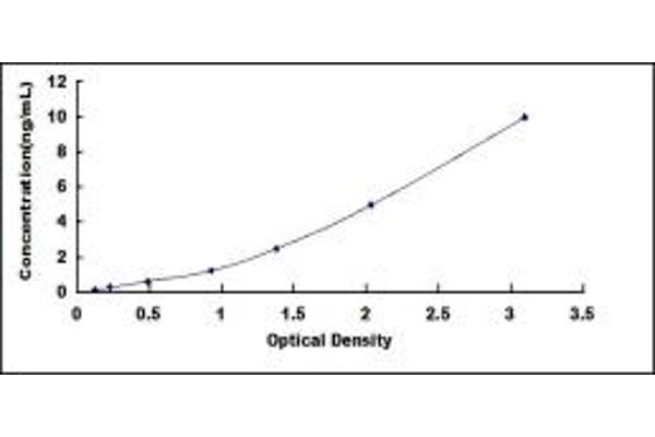 PLK3 ELISA Kit