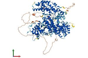 Protein Structure (PS) image for Telomerase Reverse Transcriptase (TERT) (AA 1-1132) protein (His tag) (ABIN7555764)